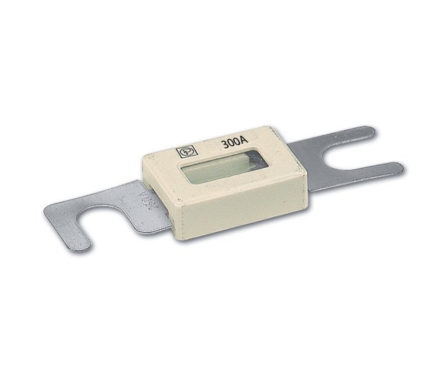 ANL Fuse 300A